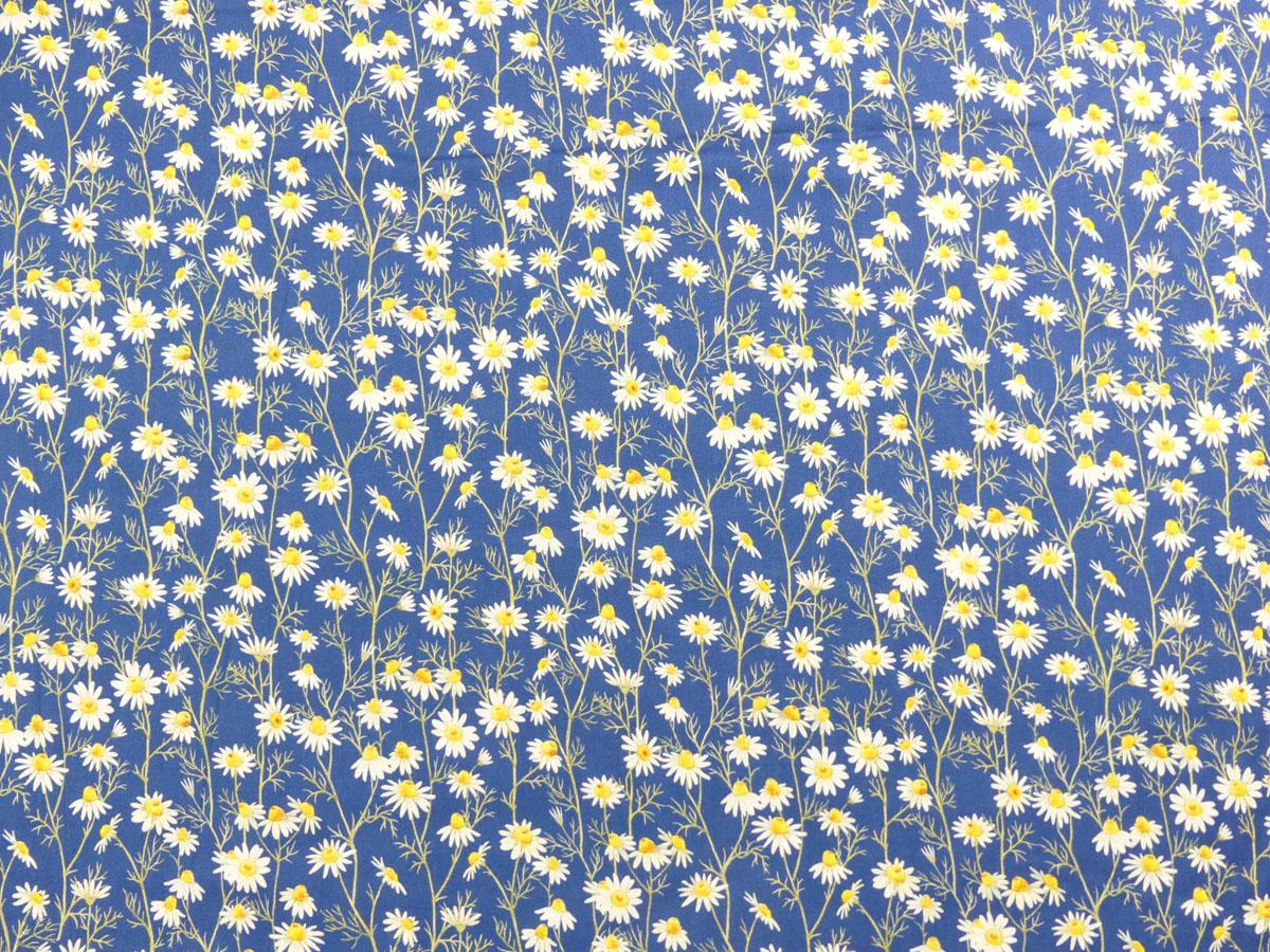 Hedgehog Hollow Blumen Gänseblümchen Daisies blau von In the Beginning